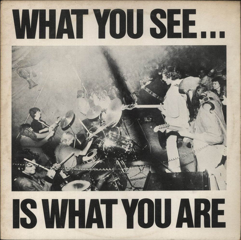 Alternative TV What You See...Is What You Are UK vinyl LP album (LP record) DLP02