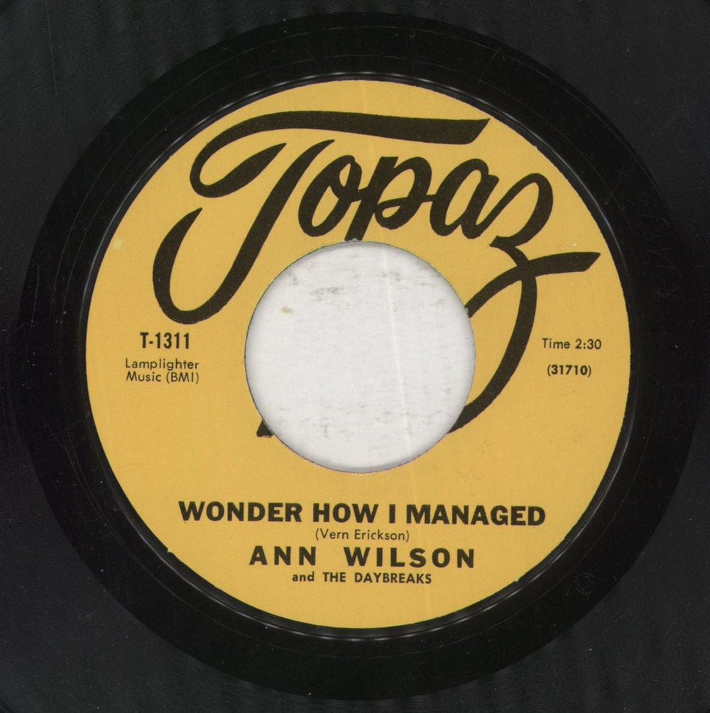 Ann Wilson Standin' Watchin' You US 7" vinyl single (7 inch record / 45)