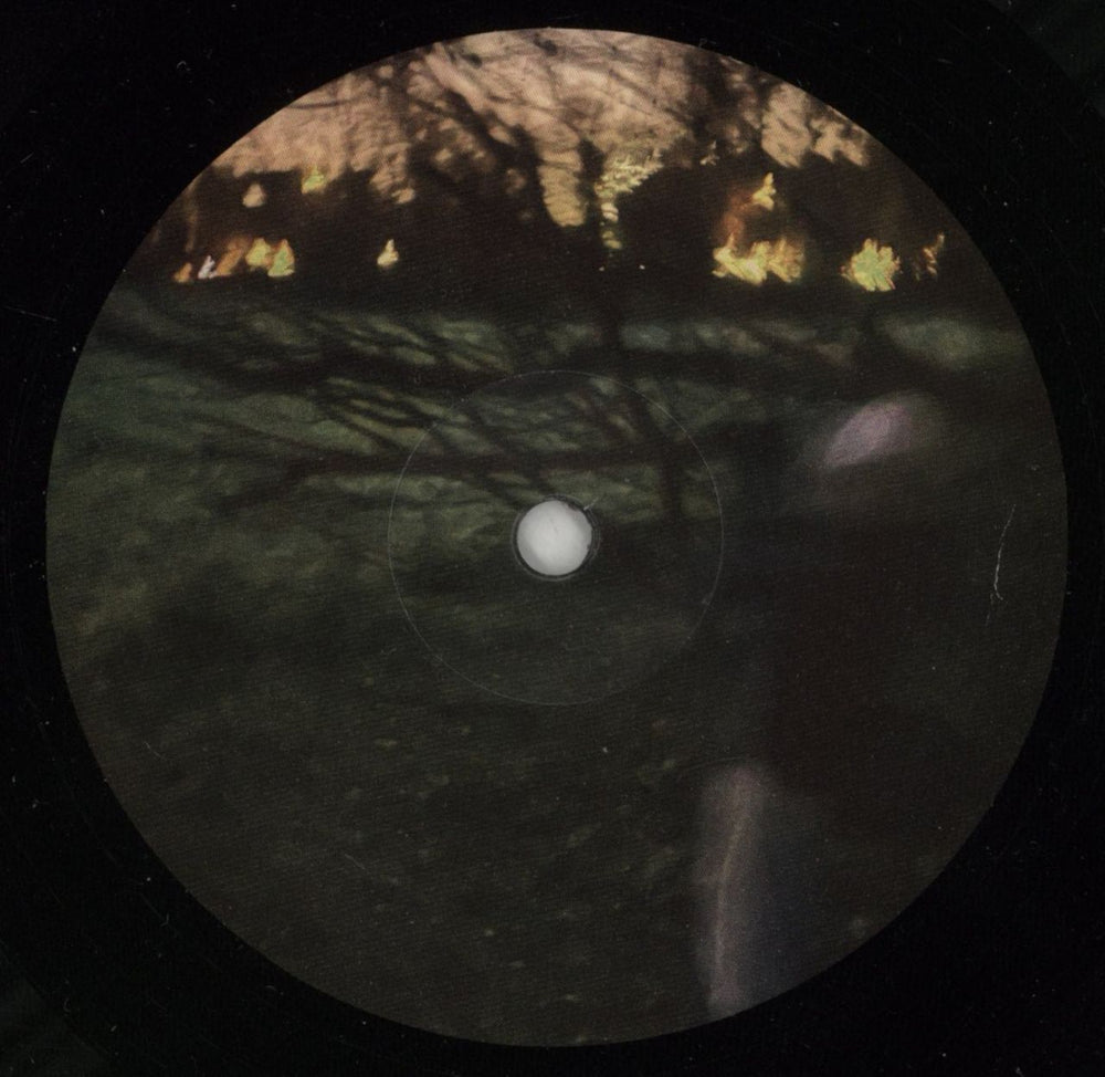 Brian Eno Secret Life UK vinyl LP album (LP record) ENOLPSE867969