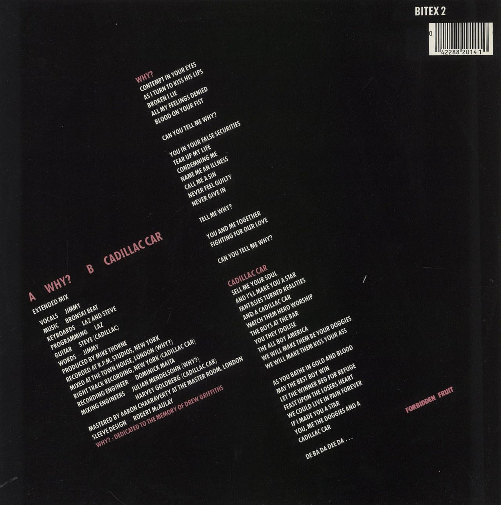 Bronski Beat Why? UK 12" vinyl single (12 inch record / Maxi-single) 042288201410