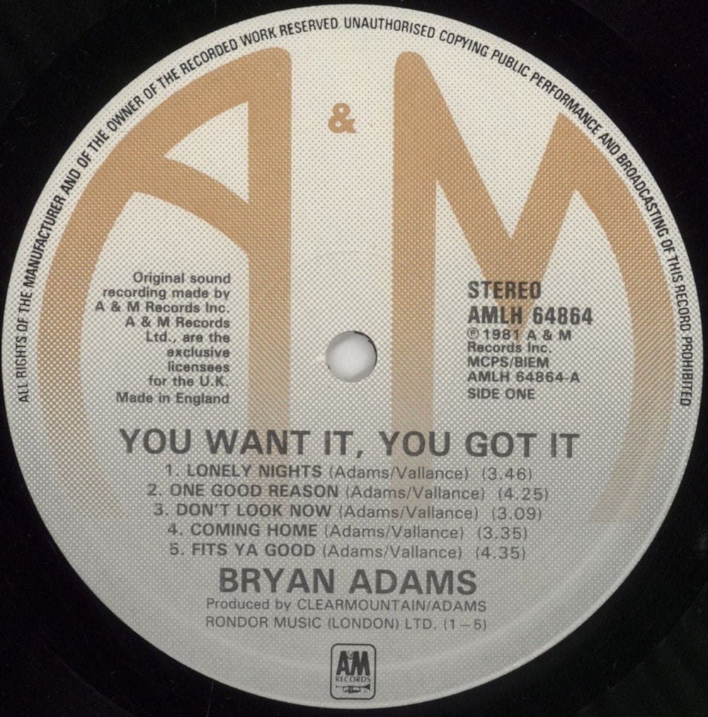 Bryan Adams You Want It, You Got It UK vinyl LP album (LP record) ADALPYO266126