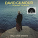 David Gilmour Yes I Have Ghosts - RSD 2020 UK 7" vinyl single (7 inch record / 45) DGRS1