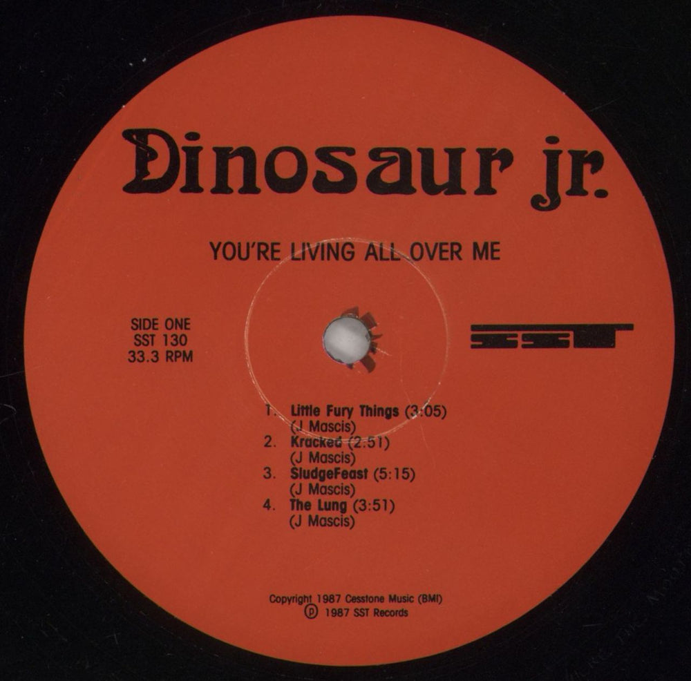 Dinosaur Jr You're Living All Over Me - 2nd - VG US vinyl LP album (LP record) DJRLPYO862703