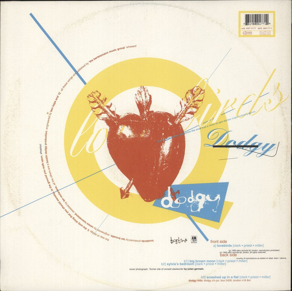 Dodgy Lovebirds UK 12" vinyl single (12 inch record / Maxi-single) 731458017714