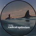 Dua Lipa Radical Optimism - Picture Disc UK picture disc LP (vinyl picture disc album) 5054197943454