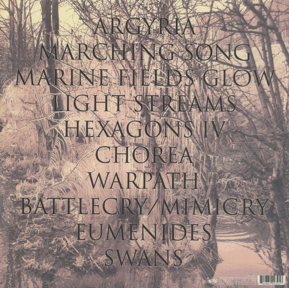 Esben And The Witch Violet Cries UK vinyl LP album (LP record) 744861093916