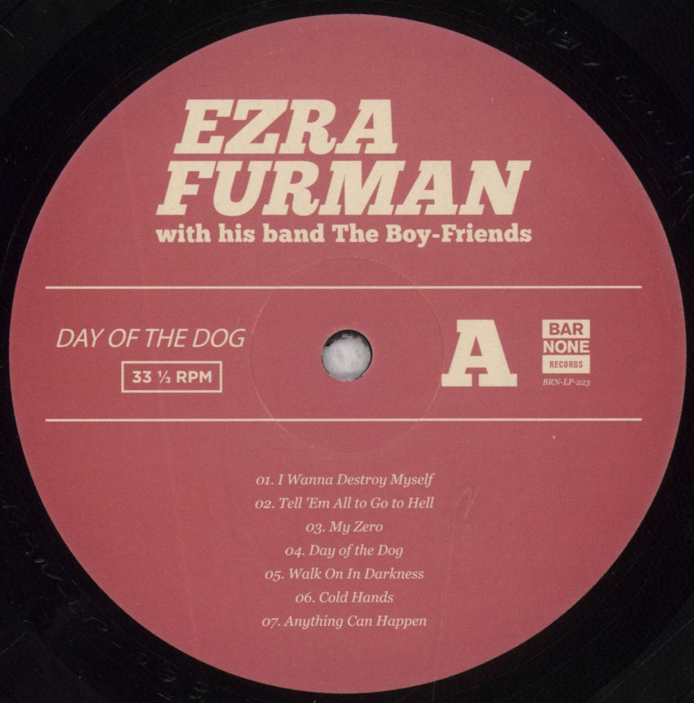 Ezra Furman Day Of The Dog US vinyl LP album (LP record) 312LPDA846473