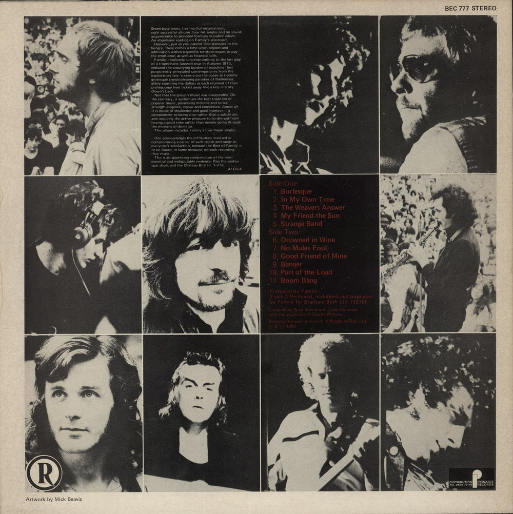 Family Rise UK vinyl LP album (LP record)