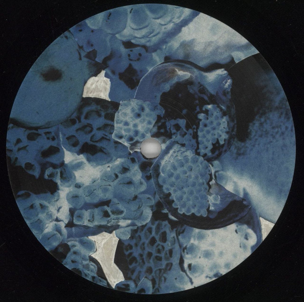 Foals Total Life Forever UK vinyl LP album (LP record) FOALPTO865101