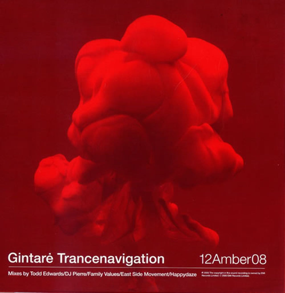 Gintare Trancenavigation UK Promo 12" vinyl single (12 inch record / Maxi-single) 12AMBER08