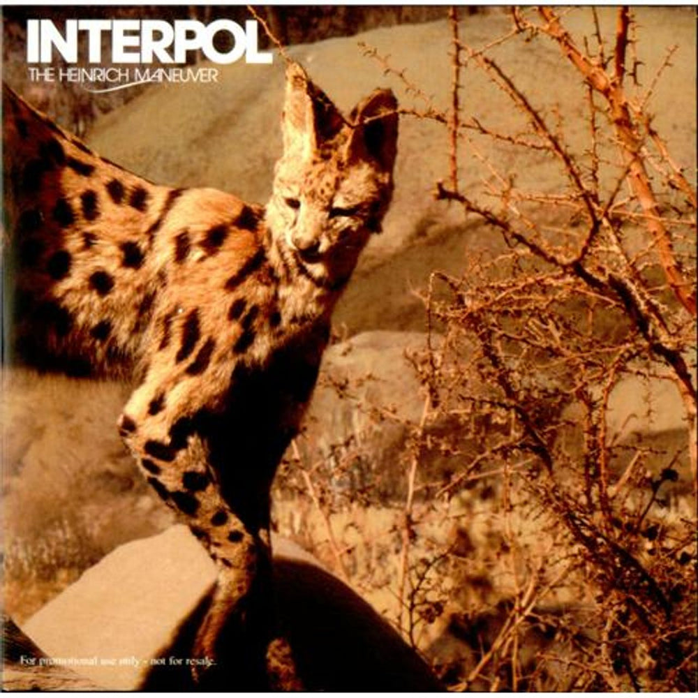 Interpol The Heinrich Maneuver UK Promo CD single (CD5 / 5") 094639624522