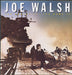 Joe Walsh You Bought It - You Name It German vinyl LP album (LP record) 92-3884-1