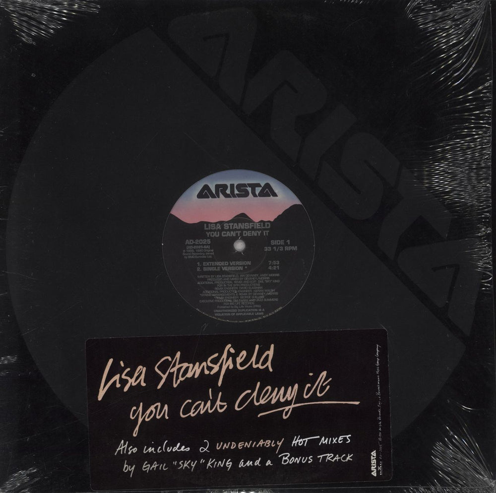 Lisa Stansfield You Can't Deny It US 12" vinyl single (12 inch record / Maxi-single) AD2025