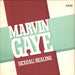 Marvin Gaye (Sexual) Healing - P/S UK 12" vinyl single (12 inch record / Maxi-single) CBSA132855