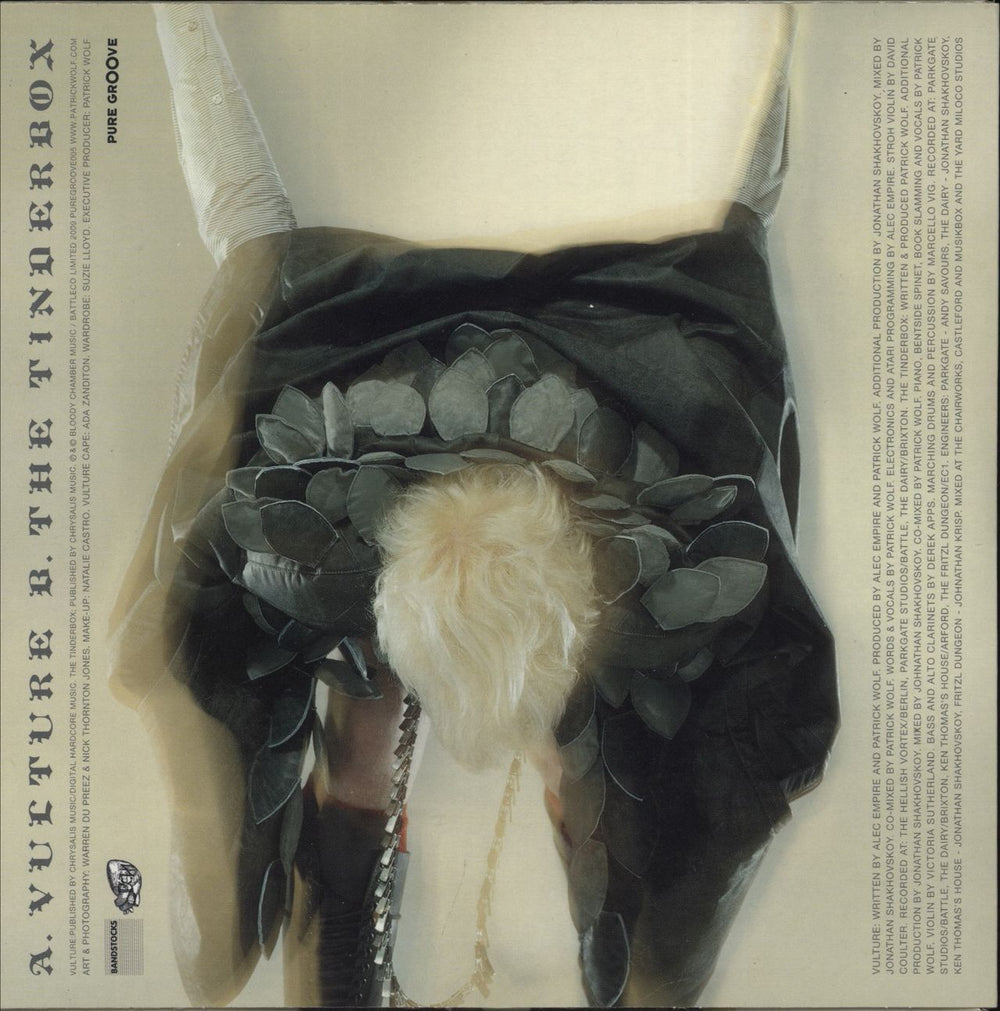 Patrick Wolf Vulture UK 7" vinyl single (7 inch record / 45)