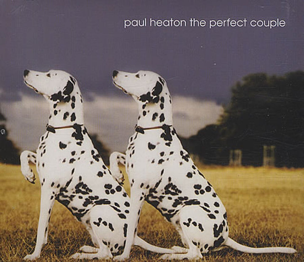 Paul Heaton The Perfect Couple UK Promo CD single (CD5 / 5") COUPLECJ1