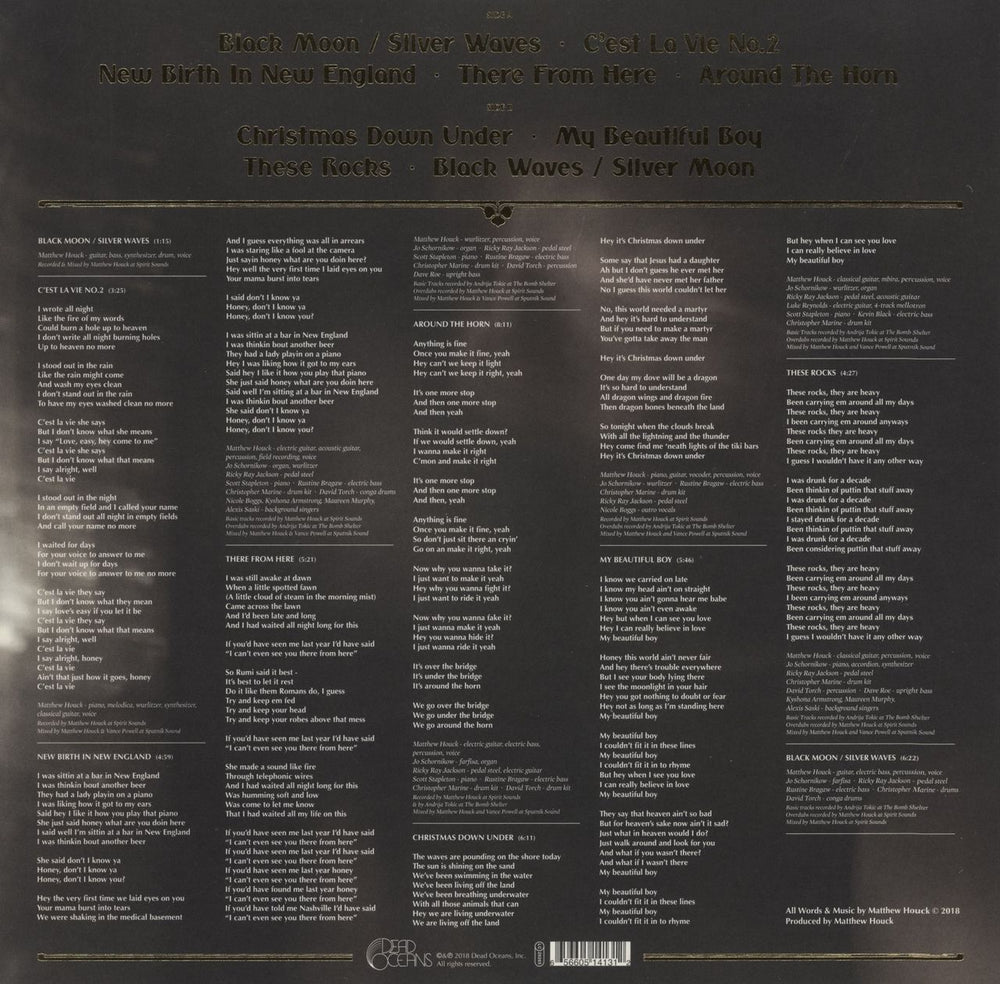 Phosphorescent C’est La Vie US vinyl LP album (LP record) 656605141312