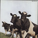 Pink Floyd Atom Heart Mother Japanese CD album (CDLP) 4988006791732