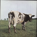 Pink Floyd Atom Heart Mother Japanese CD album (CDLP) TOCP-65736