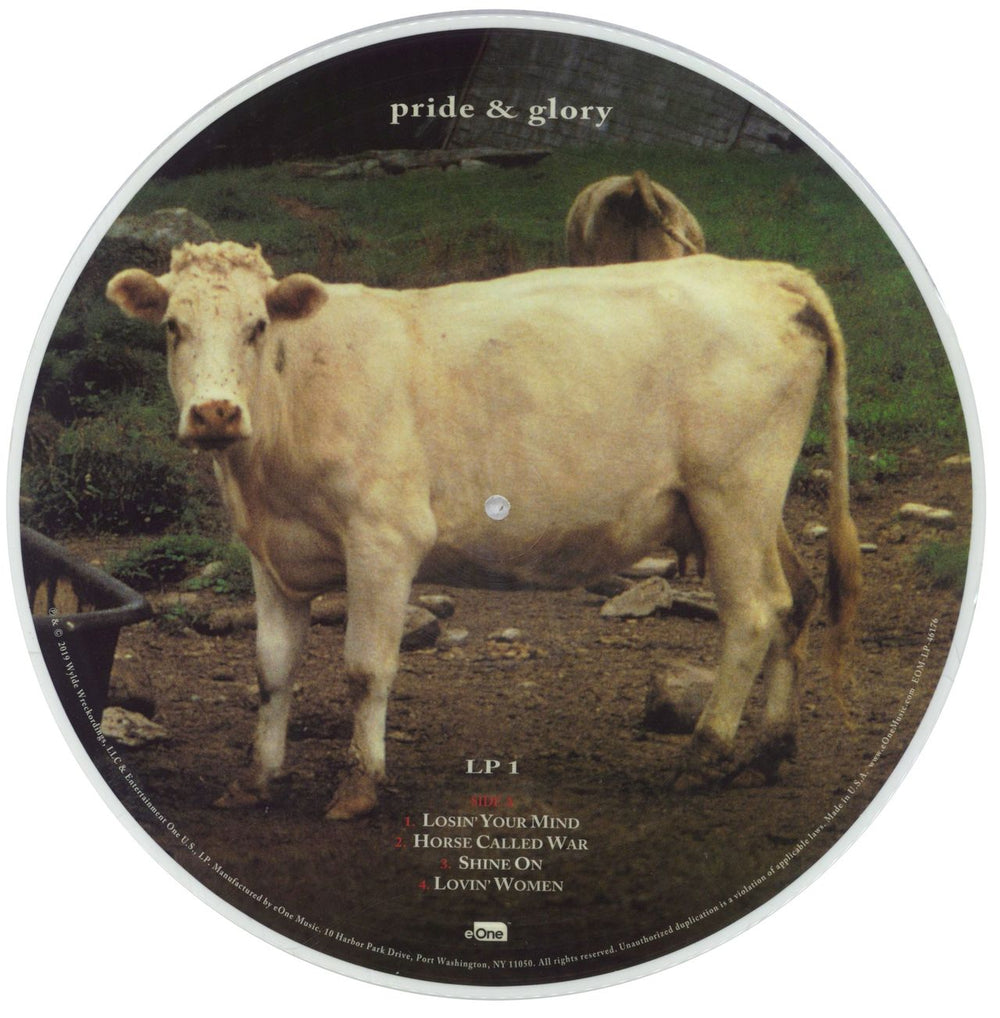 Pride And Glory Pride And Glory - 2 x Picture Disc - Shrink UK picture disc LP (vinyl picture disc album) IDFPDPR837314