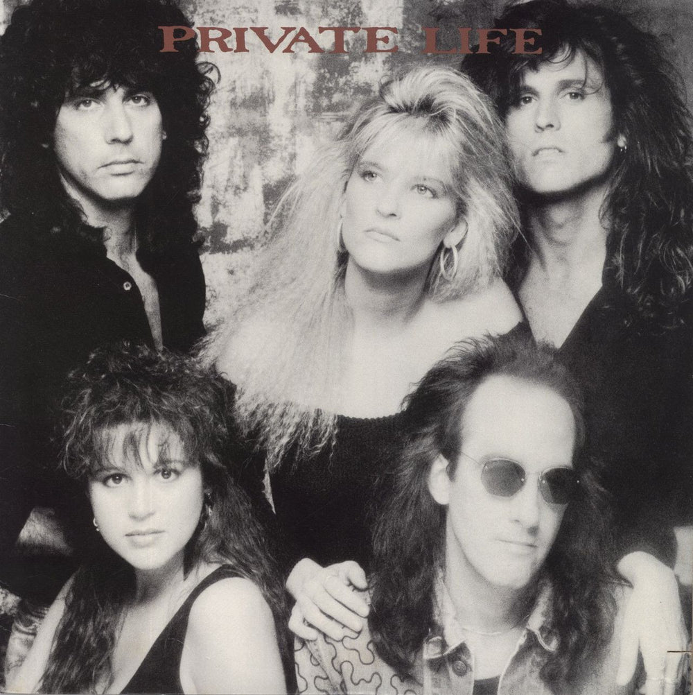 Private Life Shadows US vinyl LP album (LP record) 1-25803