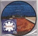 Red Hot Chili Peppers Californication UK picture disc LP (vinyl picture disc album) 0093624900085