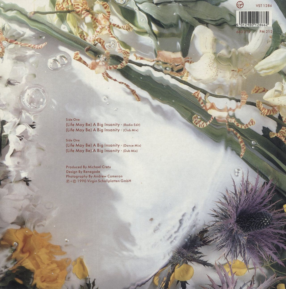 Sandra A Big Insanity UK 12" vinyl single (12 inch record / Maxi-single) 5012980128662