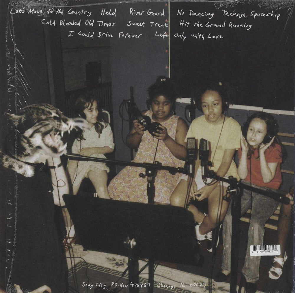 Smog Knock Knock US vinyl LP album (LP record) 781484016113