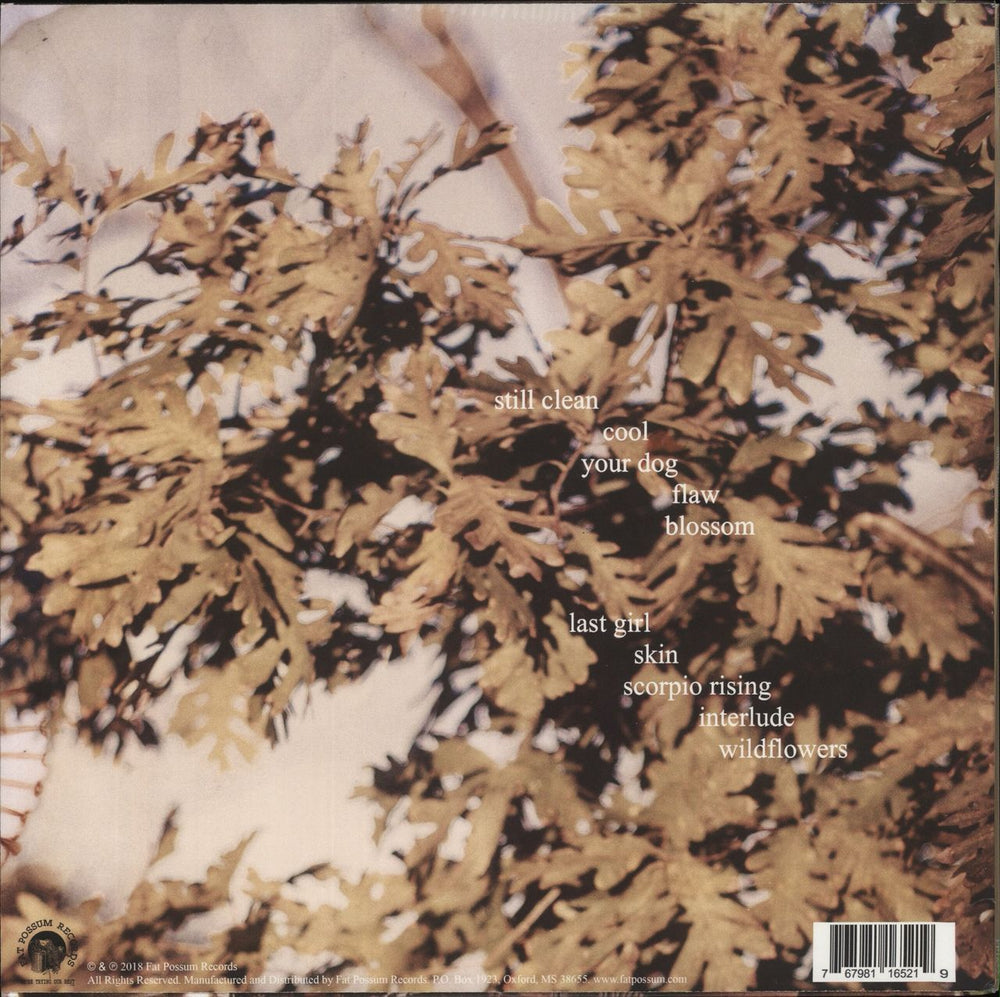 Soccer Mommy Clean US vinyl LP album (LP record) 767981165219