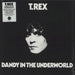 T-Rex / Tyrannosaurus Rex Dandy In The Underworld - 180gm Clear Vinyl UK vinyl LP album (LP record) DEMREC641