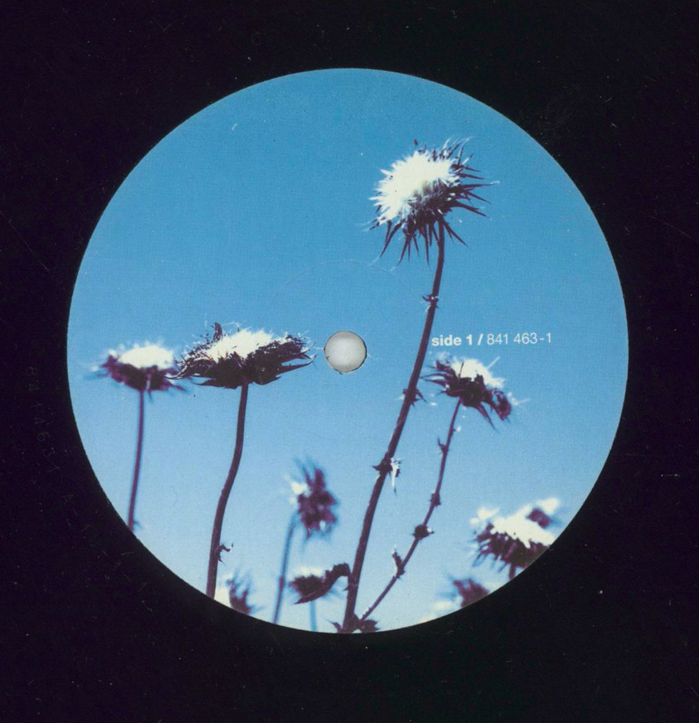 The Creatures (80s) Boomerang UK vinyl LP album (LP record) CRTLPBO367379