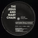The Jesus & Mary Chain April Skies (Long Version) UK 12" vinyl single (12 inch record / Maxi-single) JMC12AP314530