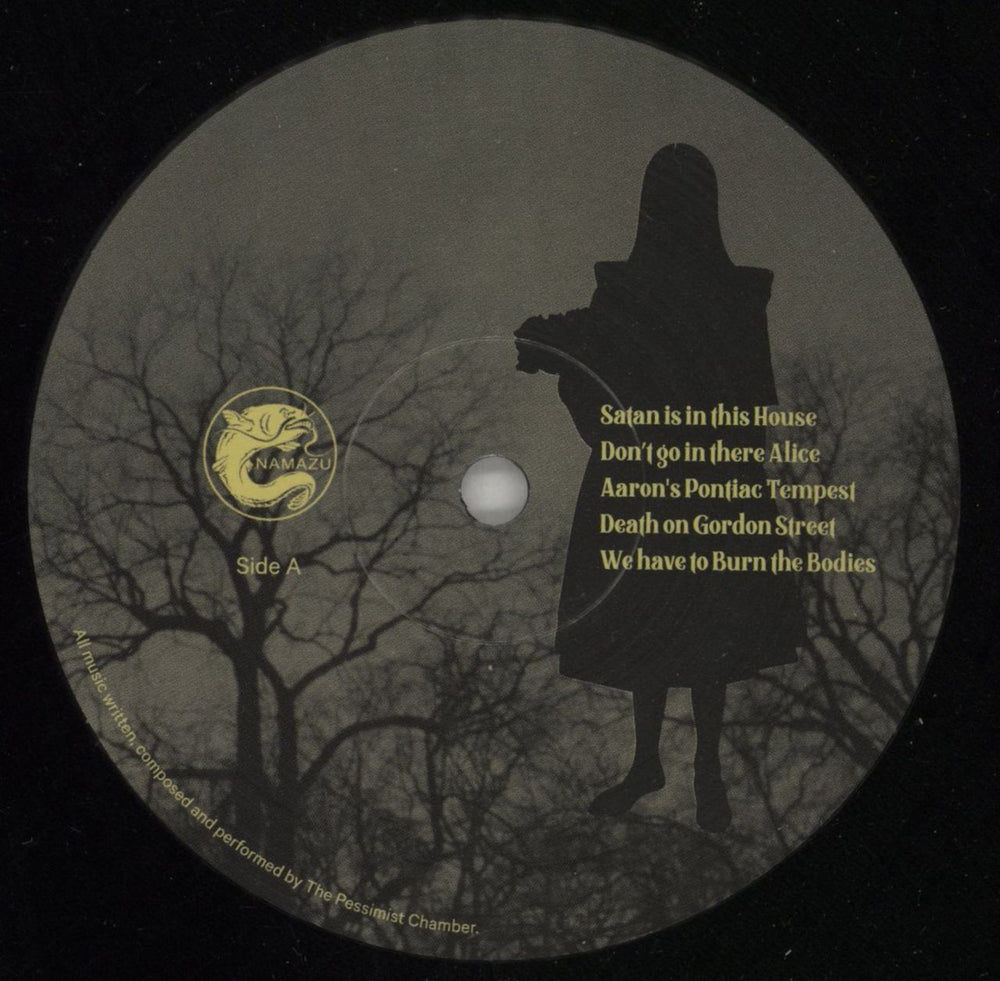 The Pessimist Chamber What Sally Saw Dutch vinyl LP album (LP record) 9N7LPWH869208