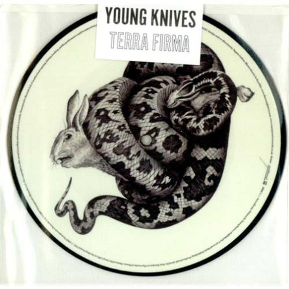 The Young Knives Terra Firma UK 7" vinyl picture disc (7 inch picture disc single) TRANS056