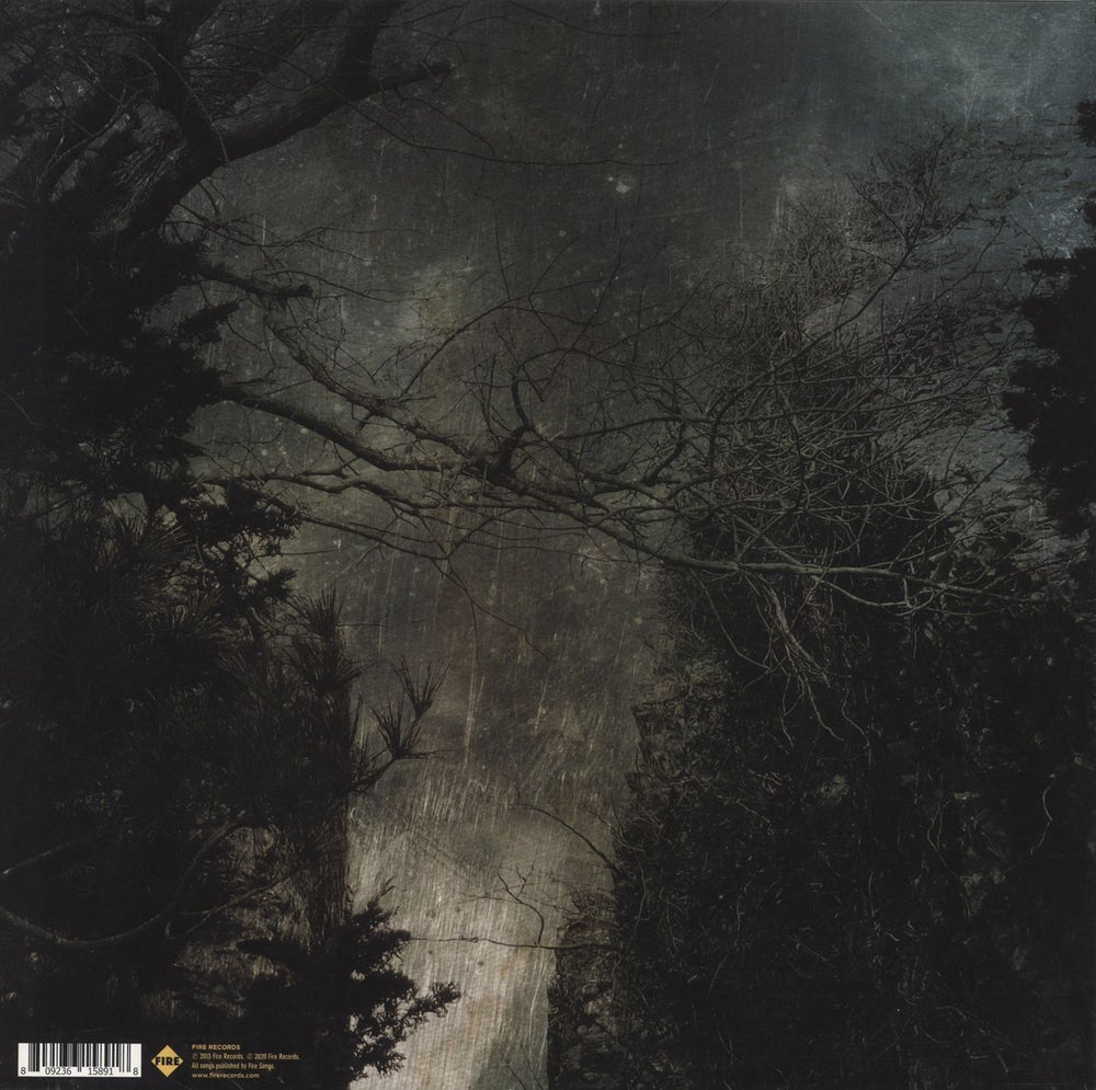 Throwing Muses Purgatory Paradise - RSD UK 2-LP vinyl record set (Double LP Album) 809236158918