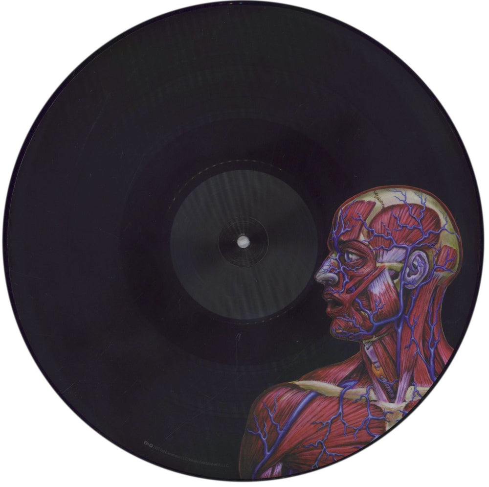 Tool Lateralus - EX - 180g US picture disc LP (vinyl picture disc album) OOTPDLA846123