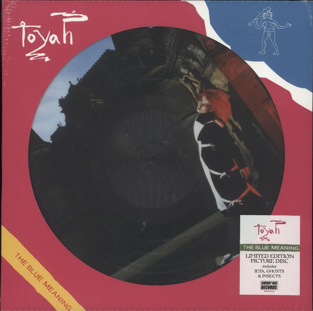 Toyah The Blue Meaning - 45th Anniversary - Sealed UK picture disc LP (vinyl picture disc album) BREDPD920