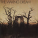 Various-Prog & Psych The Waking Dream UK vinyl LP album (LP record) PSYCHO35