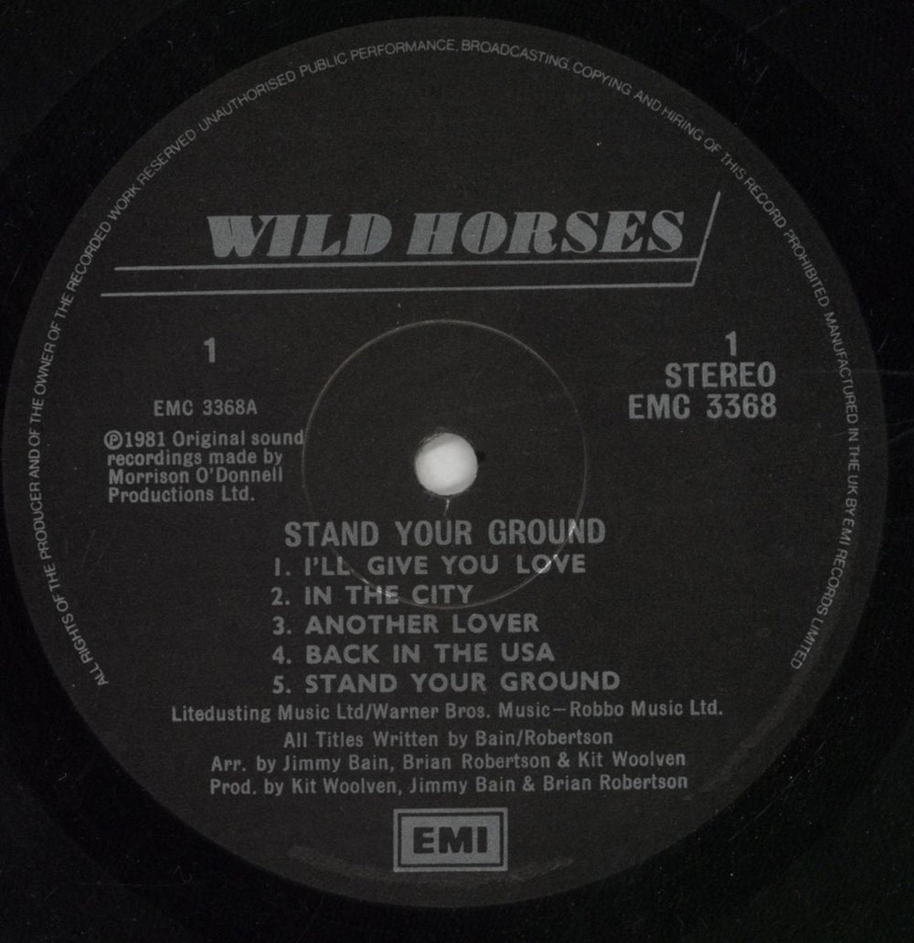 Wild Horses Stand Your Ground UK vinyl LP album (LP record) WLDLPST849300