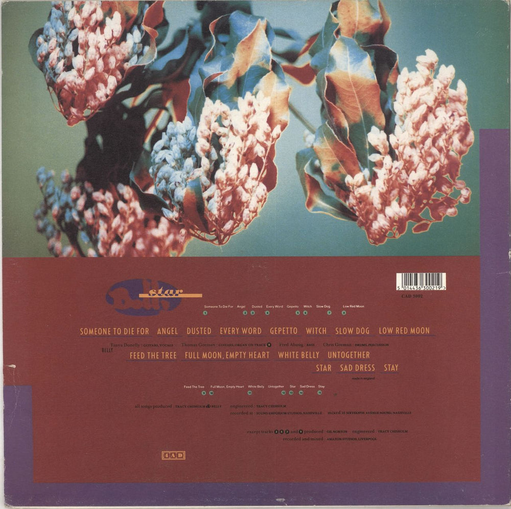 Belly Star UK vinyl LP album (LP record) 5014436300219