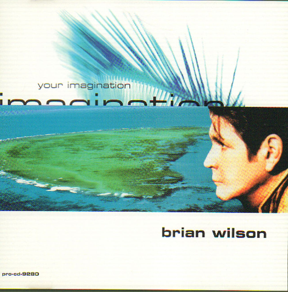 Brian Wilson Your Imagination US Promo CD single (CD5 / 5") PRO-CD-9280