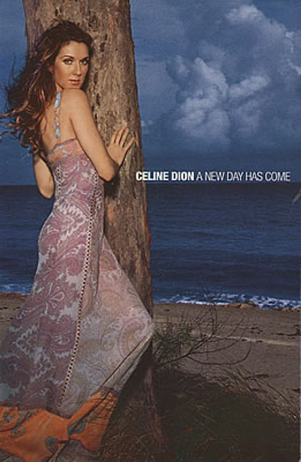 Celine Dion A New Day Has Come Mexican Promo memorabilia POSTCARD