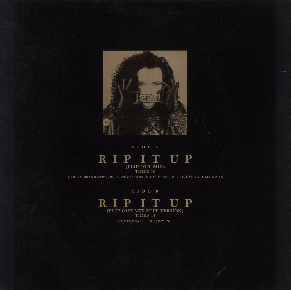 Dead Or Alive Rip It Up Flip Mix Japanese Promo 12" vinyl single (12 inch record / Maxi-single)