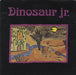 Dinosaur Jr Little Fury Things Canadian CD single (CD5 / 5") SSTCD152