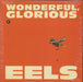 Eels Wonderful, Glorious - 10" Vinyl - Sealed US 2-LP vinyl record set (Double LP Album) CSDLP1170