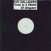 Eve Gallagher Love Is A Master Of Disguise - White Label UK Promo 12" vinyl single (12 inch record / Maxi-single) PROT1112