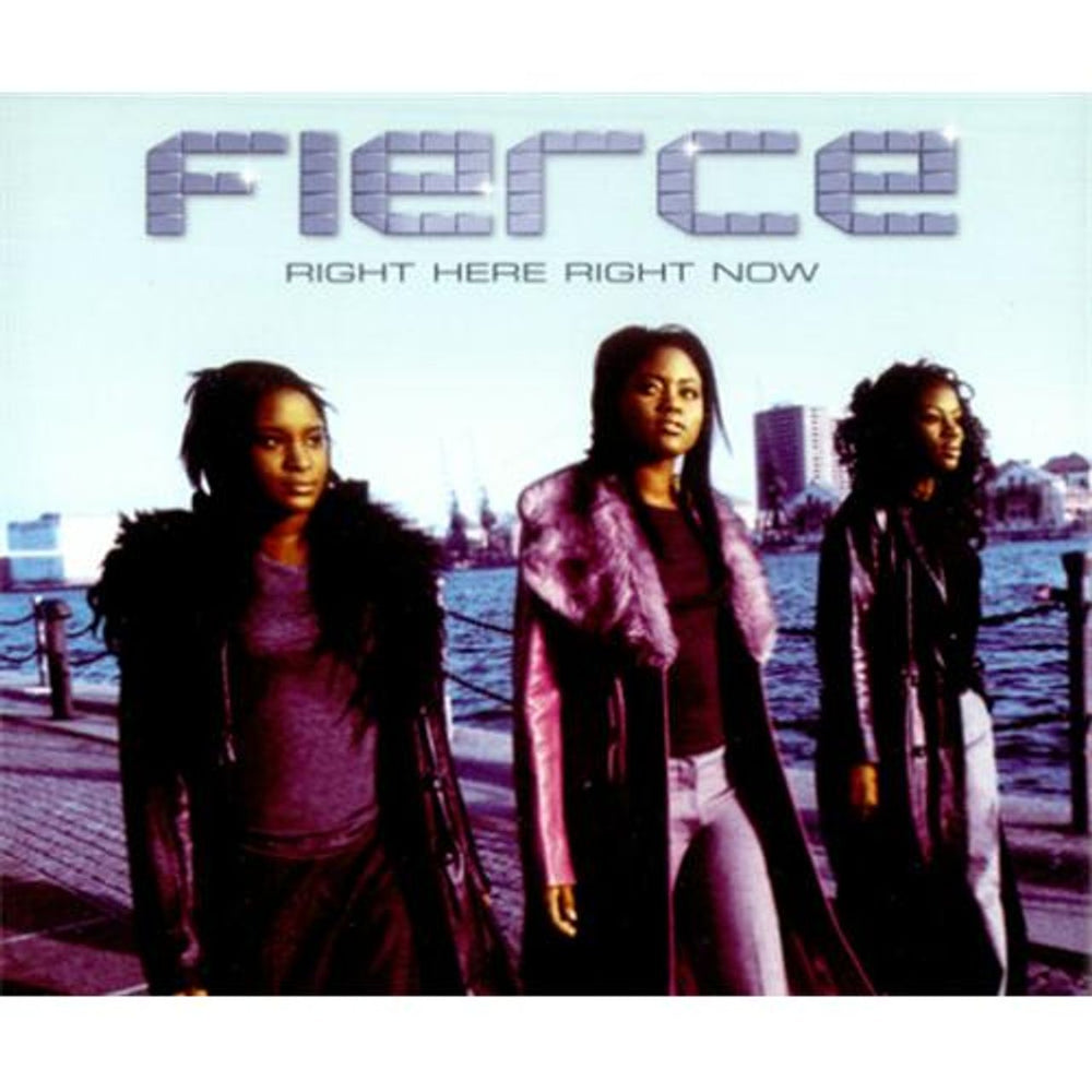 Fierce (R'N'B) Right Here Right Now UK Promo CD single (CD5 / 5") CDWILD13P