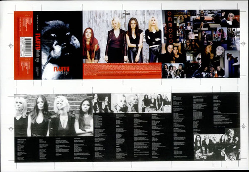 Fluffy Black Eye - CD, Cassette & Booklet UK artwork PROOF ARTWORK