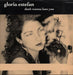 Gloria Estefan Don't Wanna Lose You UK 12" vinyl single (12 inch record / Maxi-single) 6550548