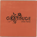 Gratitude Drive Away - Orange Sleeve UK 7" vinyl single (7 inch record / 45) ATO205X